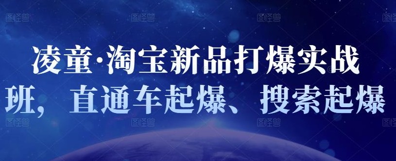 凌童·淘宝新品打爆实战班，直通车起爆、搜索起爆