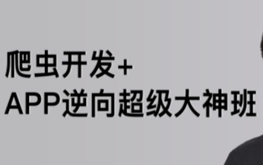 路飞-爬虫开发+APP逆向超级大神班1-3班价值4999元2022年