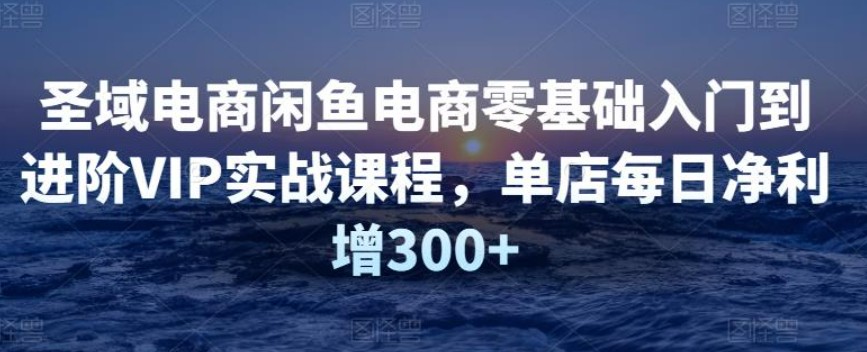 【圣域电商】闲鱼电商零基础入门到进阶VIP实战课程