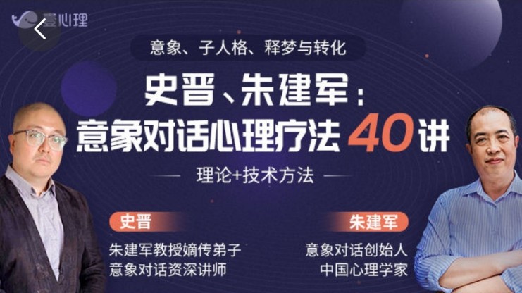 史晋、朱建军：意象对话心理疗法40讲 视频