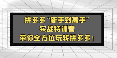 拼多多“新手到高手”实战特训营：带你全方位玩转拼多多！