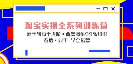 淘宝实操全系列训练营 新手到高手进阶·覆盖·99%知识 看透·对手 学会运营