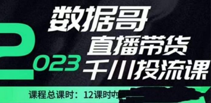 数据哥2023直播电商巨量千川付费投流实操课，快速掌握直播带货运营投放策略